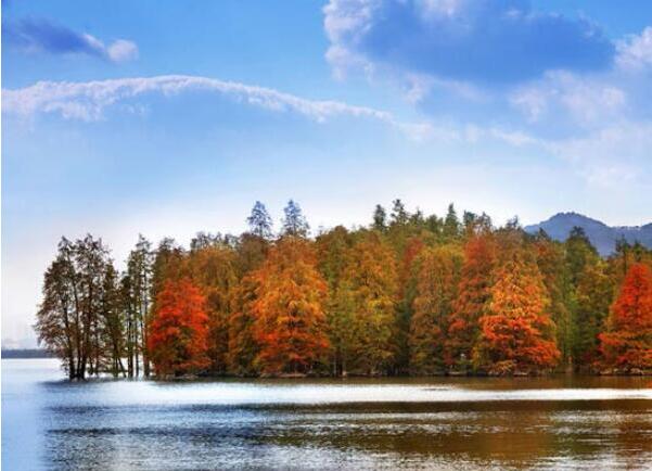 青山湖的秋天
