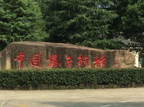 中国扬子鳄村石碑