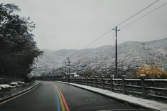路上雪景