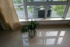 小峰农家乐观景