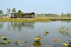 固城湖城市湿地公园