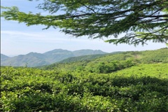 山水居民宿景色