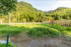 山水居民宿山林