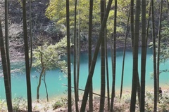 张光农家乐湖泊