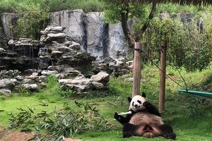 杭州野生动物园