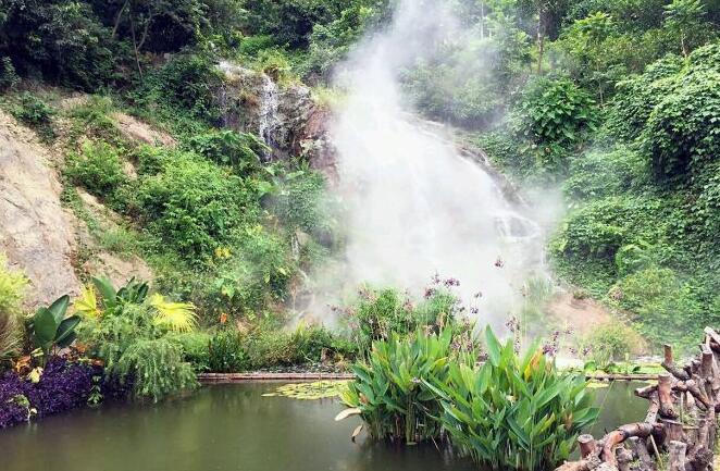 灵峰原始阔叶森林