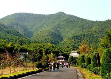 荷花山景区游客