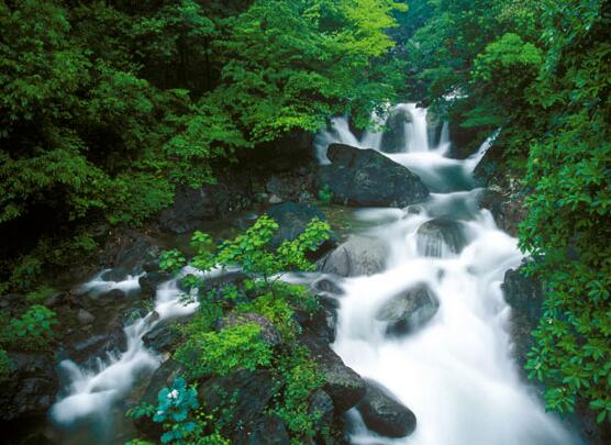 藏龙百瀑美景