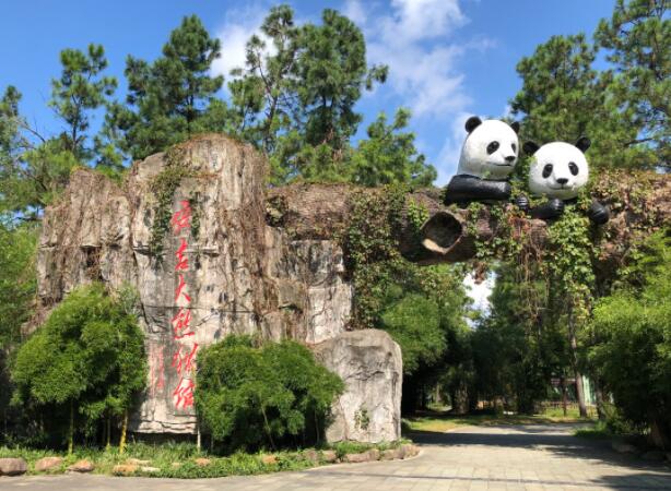 安吉竹博园的熊猫雕塑