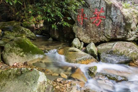 神龙川