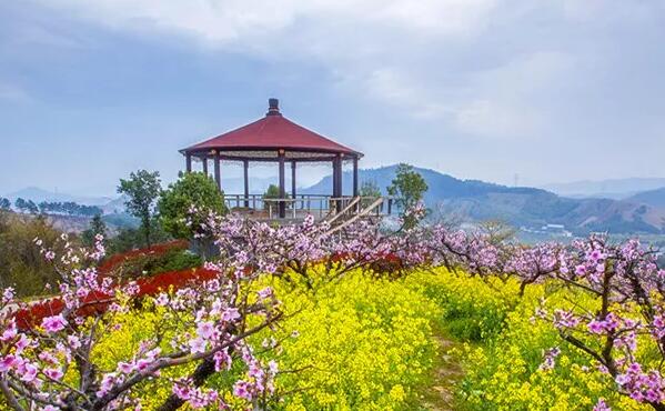 城山沟的休息凉亭