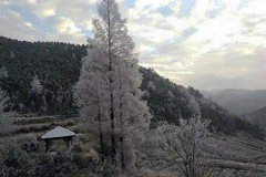 唯美雪景