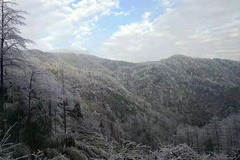 山中雪景