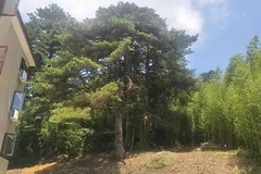 周围环境