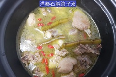 鸽子汤