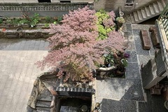 俯瞰庭院