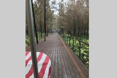 木栈道