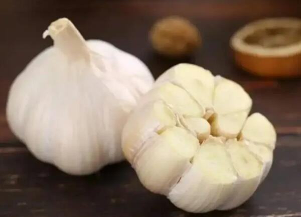 两个太仓白蒜
