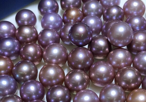 淡紫色的珍珠