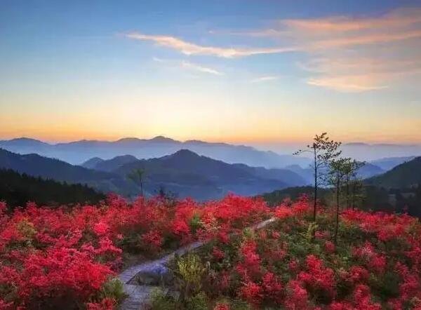 开满花的高姥山