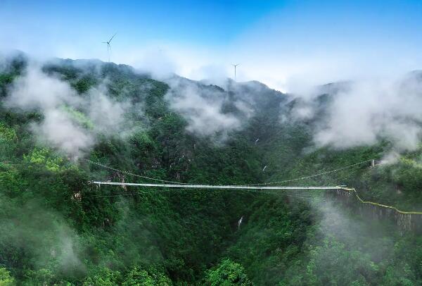 灵江源森林公园的玻璃桥