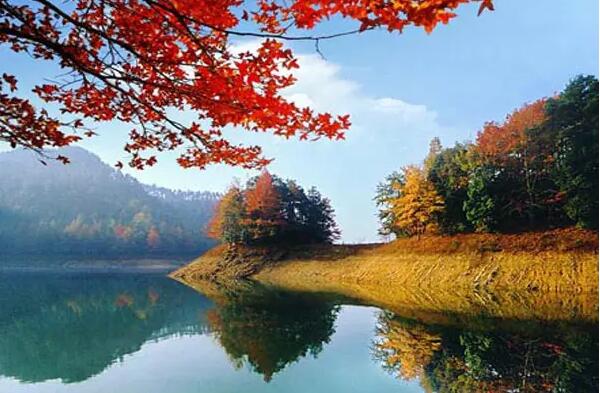 千岛湖的红叶