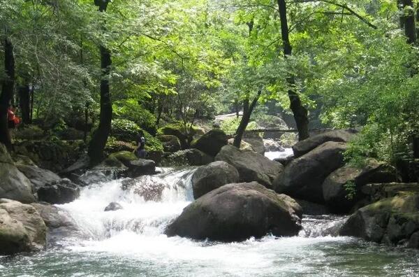 桐庐白云源风山间溪流