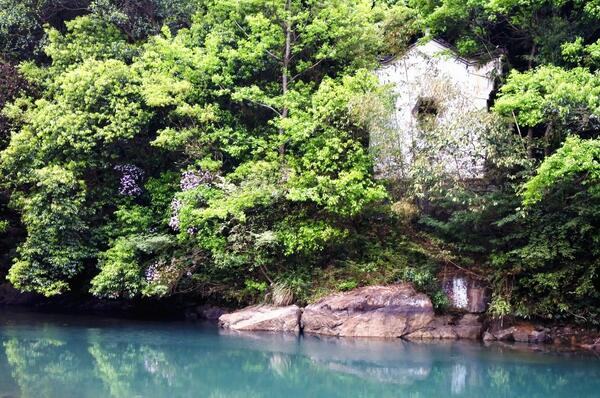 芦茨湾的青山绿水