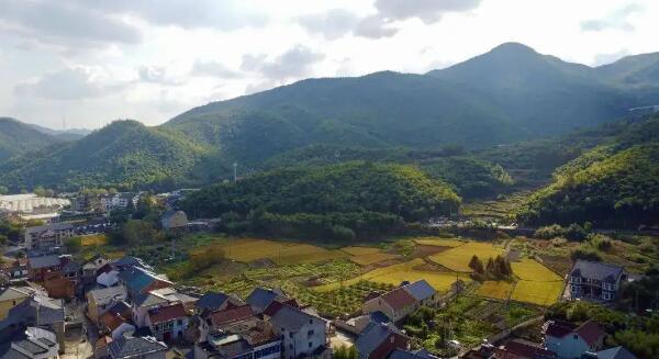 山沟沟农家乐