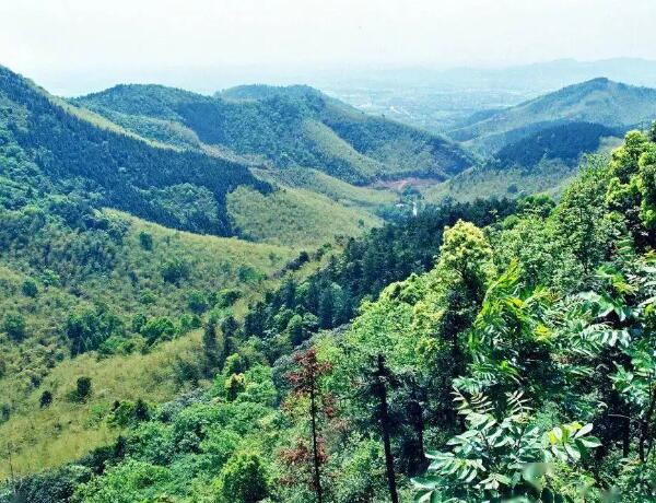 东明山森林公园山顶