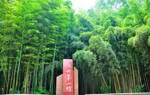 竹洞天休憩园