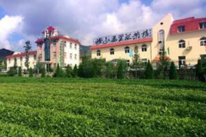 万里江茶博园