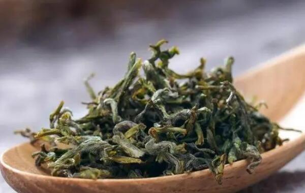 崂山绿茶茶叶