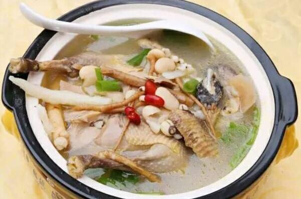 天麻炖土鸡