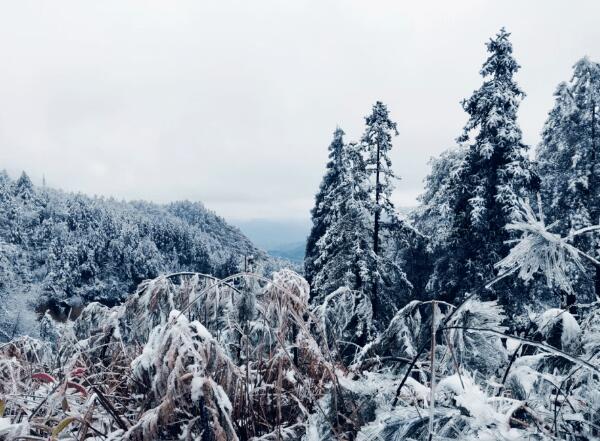 磐安山中雪景