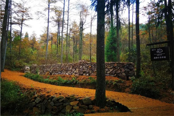 景区步道