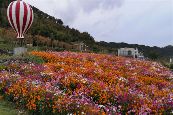 花海广场