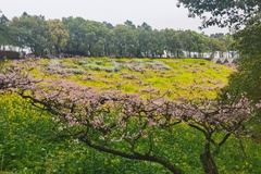 城山沟美景