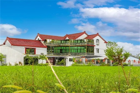路边小院农家乐全景
