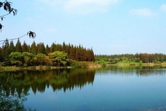 森林公园美景