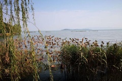 太湖美景