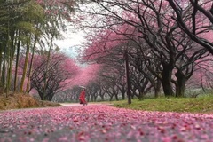 周边美景