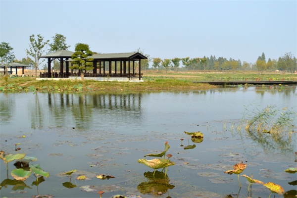 湿地公园