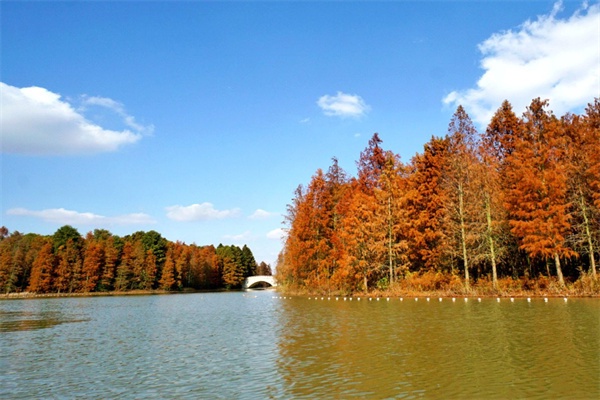 百鸟湖