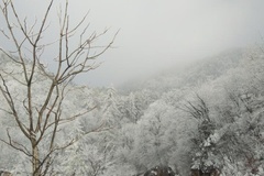 冬日雪景