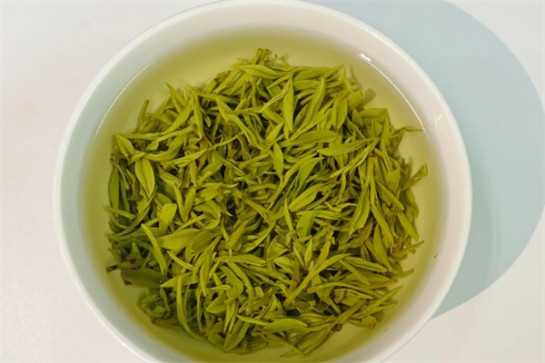 莫干黄芽茶