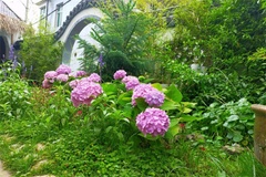 鲜花