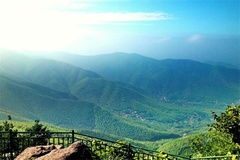 美景