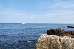 海面