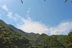 青山